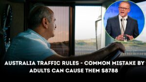 Australia Traffic Rules - Common Mistake By Adults Can Cause Them $8788